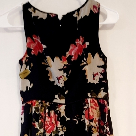 Loft sleeveless semi sheer knee length A line zip back party dress sz O - Picture 4 of 6